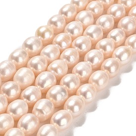 Natural Cultured Freshwater Pearl Beads Strands, Rice, Grade 2A