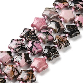 Natural Rhodonite Beads Strands, with Seed Beads, Puffed Star