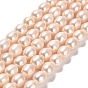 Natural Cultured Freshwater Pearl Beads Strands, Rice, Grade 2A