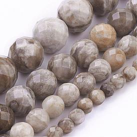 Naturelles feuille d'argent jaspe perles brins, ronde, facette