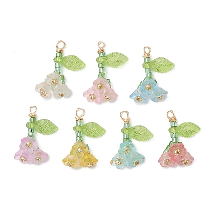 7шт. подвески из стеклянного бисера и акриловых бусин, , с 304 петлей из нержавеющей стали, золотые