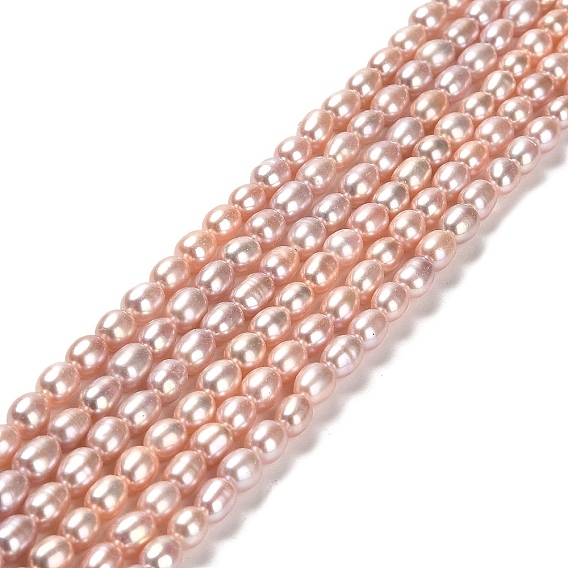 Natural Cultured Freshwater Pearl Beads Strands, Rice, Grade 4A