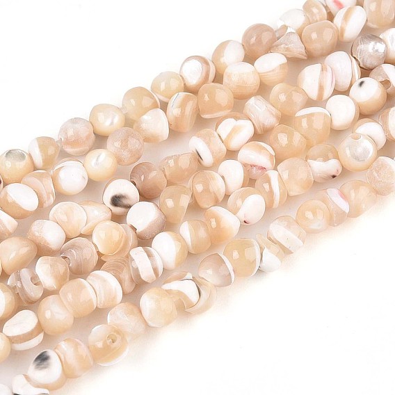 Натуральная оболочка из трохидных оболочек, самородки