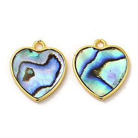 Natural Paua Shell Pendants, Heart Charms with Brass Findings