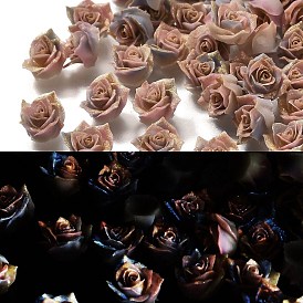 Кабошоны из светящейся непрозрачной смолы, цветок, три тона, светится в темноте, с золотой порошок блеск