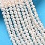 Natural Cultured Freshwater Pearl Beads Strands, Grade 2A, Potato