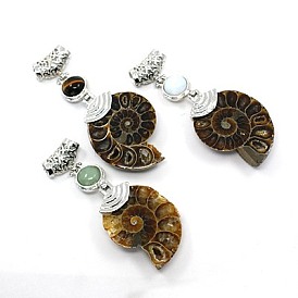 Gemstone grands pendentifs, avec les accessoires en laiton et fossiles, escargot, de couleur métal platine , 58~78x29~35x8~9mm, Trou: 4x6mm