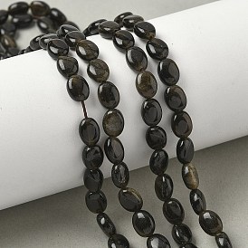 Естественный золотистый отлив обсидиан бисер пряди, Плоско-овальные