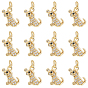 12подвески из латуни с микропаве из кубического циркония, собака прелести, с прыжковых колец