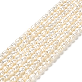 Natural Cultured Freshwater Pearl Beads Strands, Rice, Grade 2A++