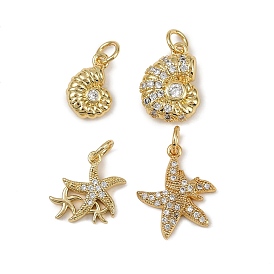 Латунные микро проложить кубического циркония подвески, подвески в виде ракушек/морских звезд, с целью перехода в кольце, долговечный, без кадмия и без свинца, стойки покрытие