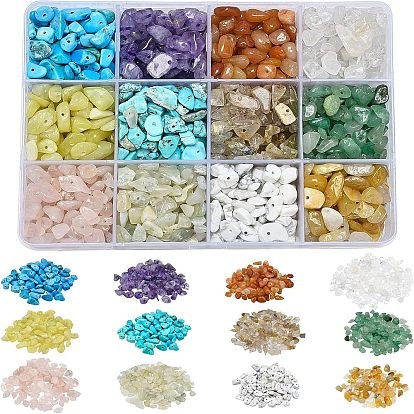 276G 12 Style Natural & Synthetic Gemstone Beads, Chips
