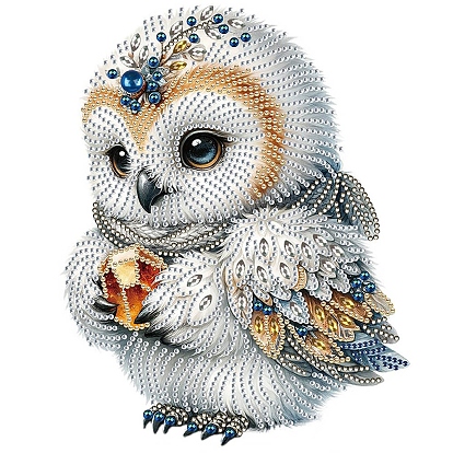 Owl Pattern DIY Diamond Painting Kit, Including Resin Rhinestones Bag, Diamond Sticky Pen, Tray Plate and Glue Clay