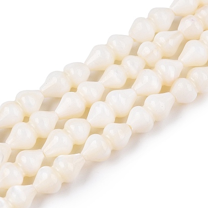 Естественных пресноводных оболочки бисер нитей, тыква форма