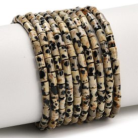 Природные яшмы далматин бисер нитей, колонка