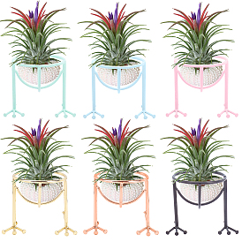 6шт 6 цвета углеродистая сталь косметическая губка блендер держатель, подставка для губки для чистки макияжа