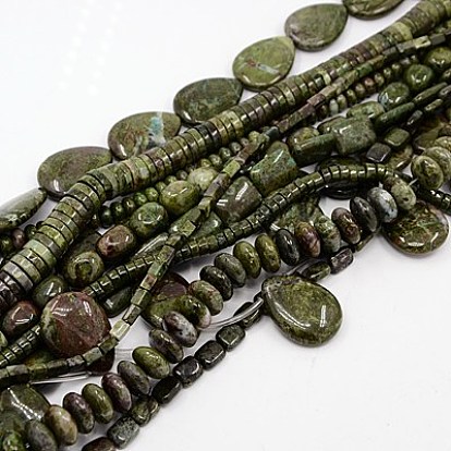 Natural Green Rainforest Stone Beads Strands, Mixed Shapes, 5~50x4~38x4~6mm, Hole: 1mm, about 14~127pcs/strand, 15.7 inch~16.93 inch