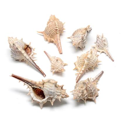 Thorn Conch Shell Big Pendants