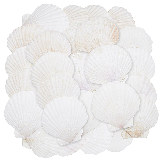 60pièces assiette décorative pour bijoux en coquillage naturel, plateau de rangement pour bagues, , Des boucles d'oreilles