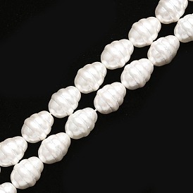 Shell Pearl Beads Strands, Polished, Oval