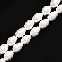 Shell Pearl Beads Strands, Polished, Oval
