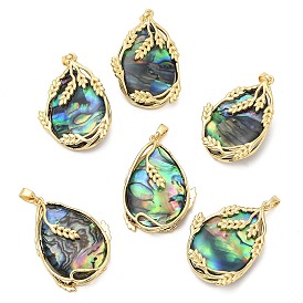 Natural Abalone Shell/Paua Shell Pendants, Teardrop Charms with Brass Leaf Wrapped