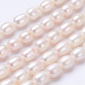 Natural Cultured Freshwater Pearl Beads Strands, Rice