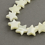 Star Shape Natural Sea Shell Bead Strands, 12x13x3~4mm, Hole: 1mm, about 38pcs/strand, 15.7 inch
