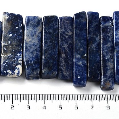 Natural Sodalite Beads Strands, Top Drilled Beads, Rectangle