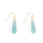 1 Pair Natural Amazonite Dangle Earrings, with Brass Earring Hooks, Teardrop, Ion Plating(IP)