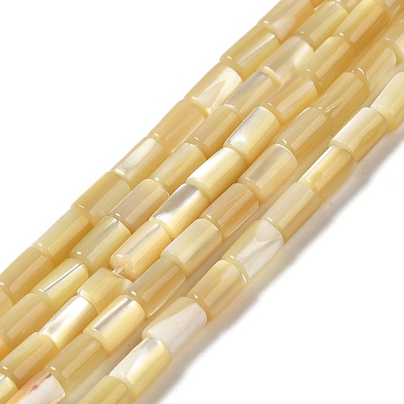 Natural Trochus Shell Beads Strands, Column