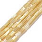 Natural Trochus Shell Beads Strands, Column