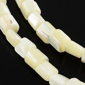 Column Natural White Shell Beads Strands, Mother of Pearl Shell Beads, 7~8x7mm, Hole: 0.8mm, about 56pcs/strand, 15.35 inch