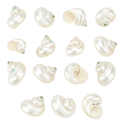 15 шт. мини-бусины из натуральных спиральных ракушек, без отверстия 