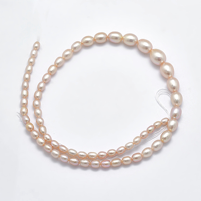 Grade AAAA Natural Cultured Freshwater PearlBeads Strands, Graduated