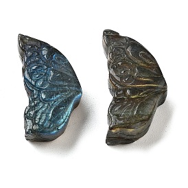 Natural Labradorite Carved Cabochons, Butterfly Wing