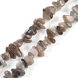 Natural Black Sunstone Beads Strands, Chip