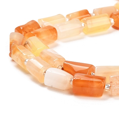Natural Botswana Agate Beads Strands, with Seed Beads, Faceted Column