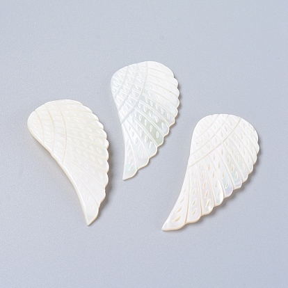 Coquille eau douce naturelle cabochons, ailier
