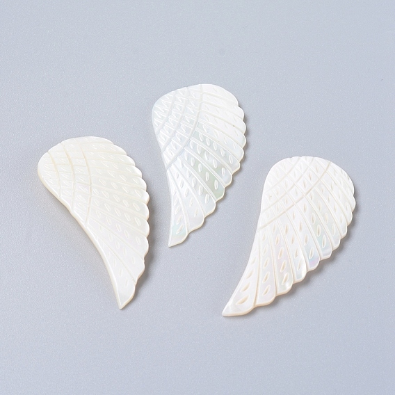Coquille eau douce naturelle cabochons, ailier