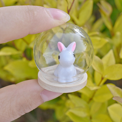 Стеклянный купол, декоративная витрина, Террариум в форме колокольчика на деревянном основании