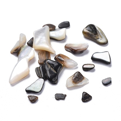 Natural Black Lip Shell Beads, Shell Shards, No Hole/Undrilled, Chips