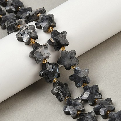 Натуральные нити бус из ларвикита, граненые, звезда, с бисером