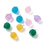 Resin Pendants, with Platinum Iron Peg Bail, Candy