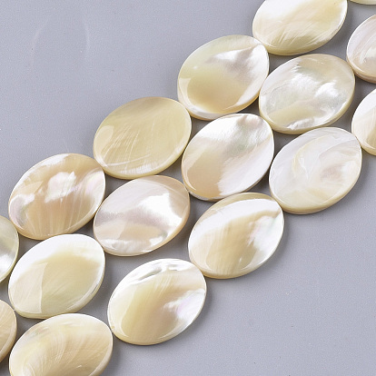 Natural Trochid Shell/Trochus Shell Beads Strands, Oval