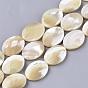 Natural Trochid Shell/Trochus Shell Beads Strands, Oval