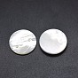Shell Cabochons, Flat Round