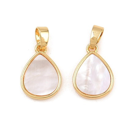 Натуральные раковины, с латунной, цвет морской раковины