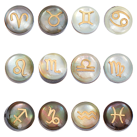 12 шт. 12 стили натуральные черные бусины-ракушки с золотой эмалью, плоские круглые с созвездием