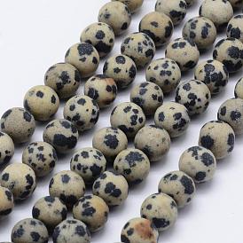 Natural Dalmatian Jasper Beads Strands, Frosted, Round